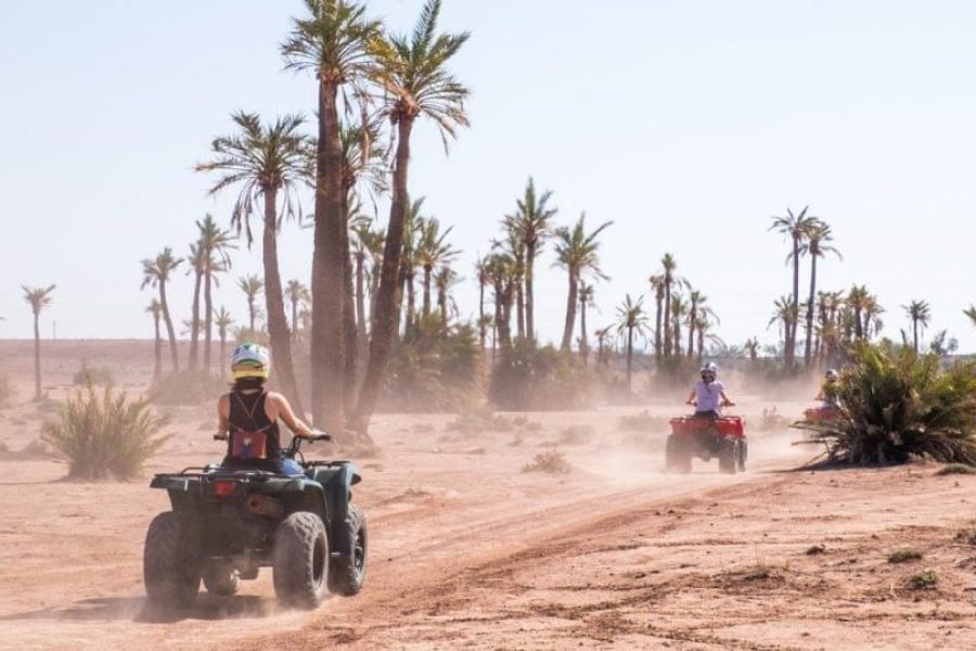 Quad dans la Palmeraie